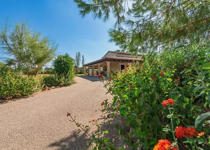 Camp Del Bosch By Sealand * Puerto Pollensa